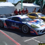 pesage lm20080014